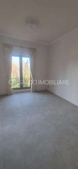 Proprietate deosebita Iancu Nicolae - 18