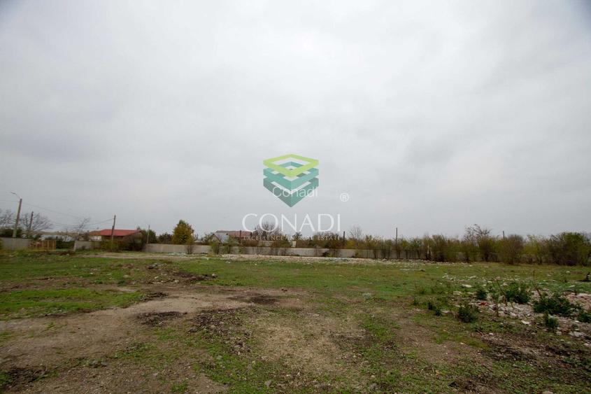 Teren 10000mp Intravilan Dor Marunt deschidere 100m - 4