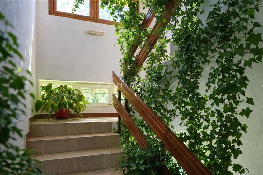 Locatie cu patru anotimpuri intr- o zi, incadrata de 2.350 teren, Bran - Fundata - 3