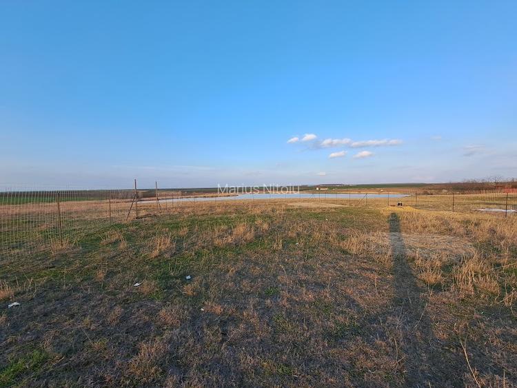 Teren intravilan 600 mp – pentru casă sau escapade de weekend, 35 km Bucuresti - 4