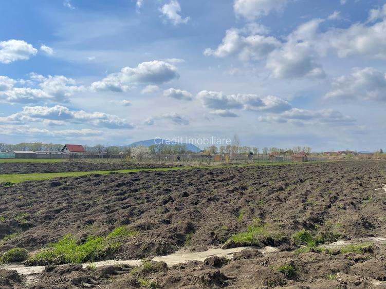 Lot de casa Stupini 480mp! - 5