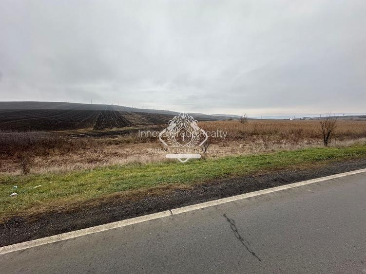 Teren 13.780 mp, Apahida, Cluj - Ideal pentru Investiție - 2