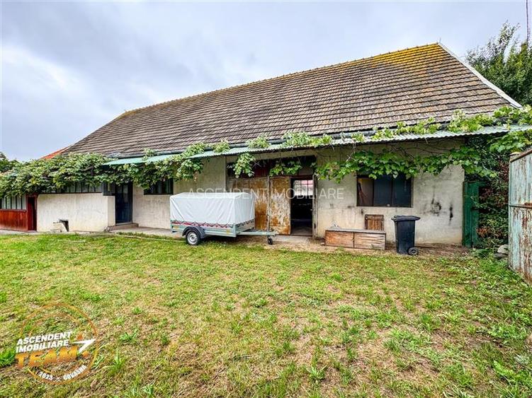 FILM!  2 case,domeniu de 1.660mp, cu atelier,anexe,Lemnia,Covasna - 10