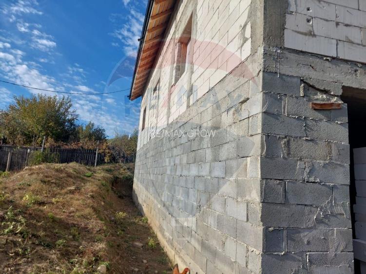 Casa la rosu de vanzare in Caiuti, Bacau - 19