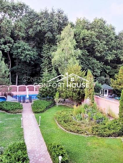 VILA D+P+E+M, 12 camere, piscina , padure, IANCU NICOLAE - 36