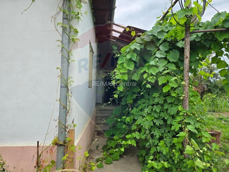 Comision 0! Casa din inima Subcarpaților — comuna Cislau, teren 5000mp - 9