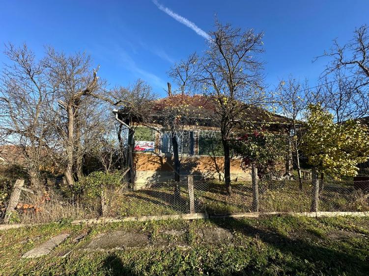 GOSPODARIE - liniste - natura - DE VANZARE - 11