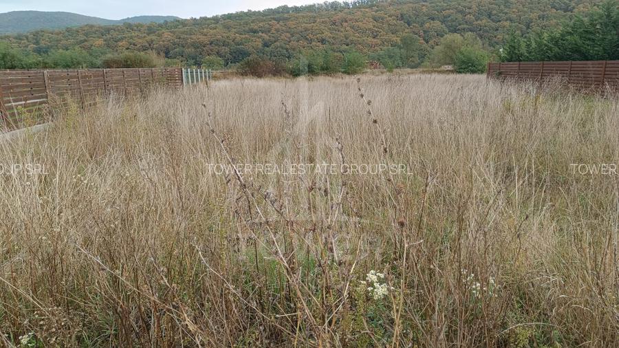 Teren de vânzare în Tălmaciu – zonă liniștită, cu priveliște spre munți - 5