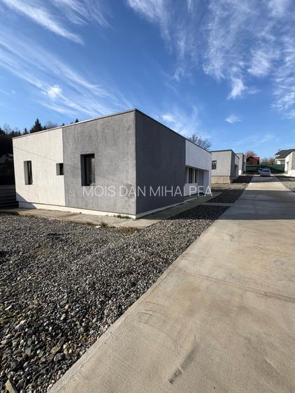 VAND CASA ZNA TOCILE - 2