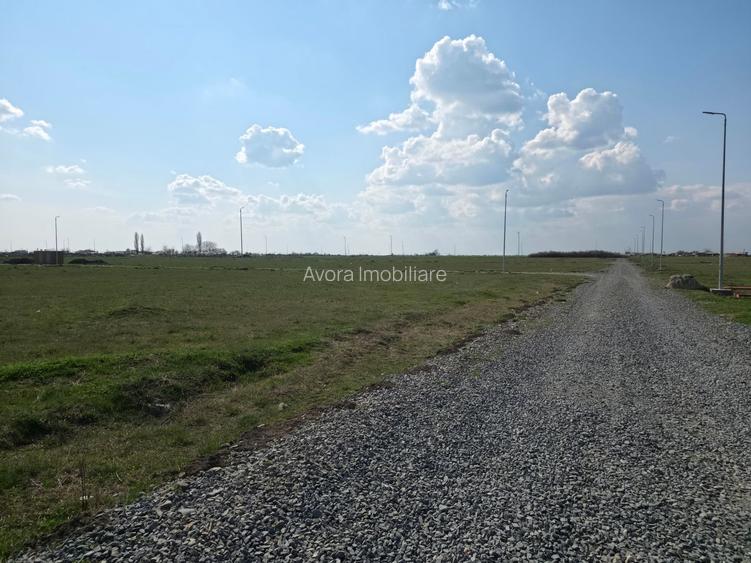 Parcele de teren Sacalaz - 10