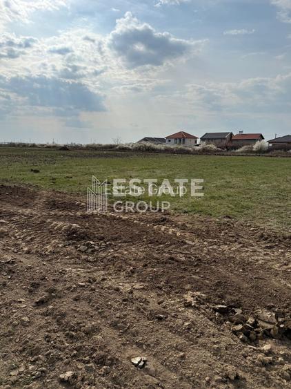 Mosnita Noua, front stradal 22 ml - 3