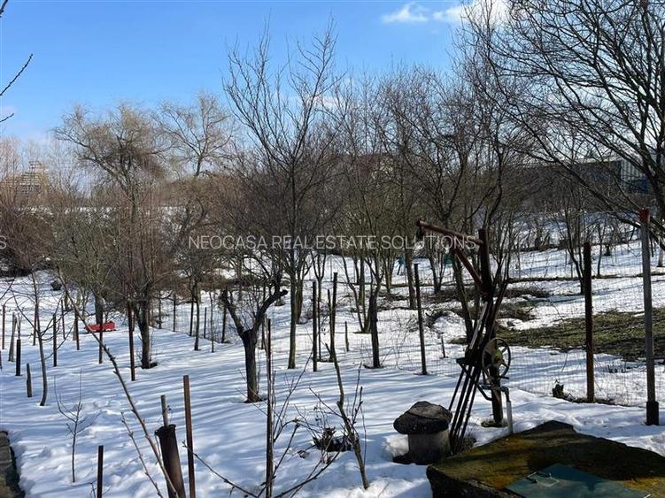 BANEASA - TEREN 976 MP - 4