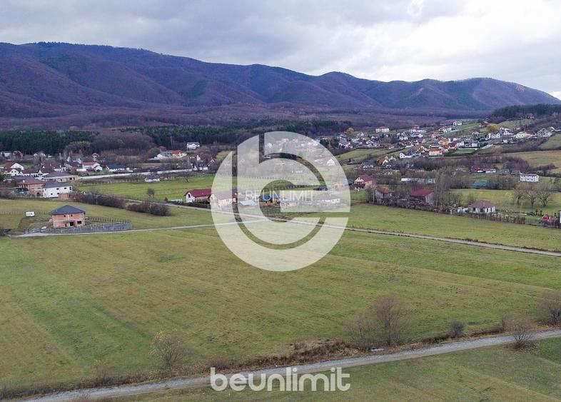 Teren intravilan în Tocile - 39 euro/mp - 4354 m² - 2 fronturi - 12