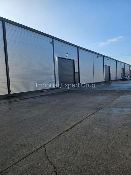 Hala 590 mp Afumati- Doraly - 2