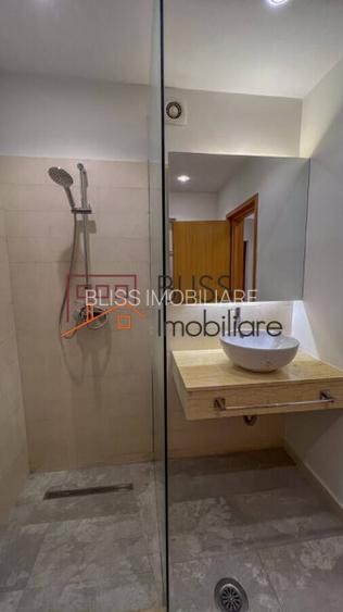 Casă / Vilă 7 camere în zona Iancu Nicolae - 13