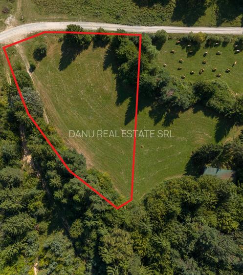 Investitie premium in turism-teren 6800mp langa lacuri Vulcan Brasov - 5