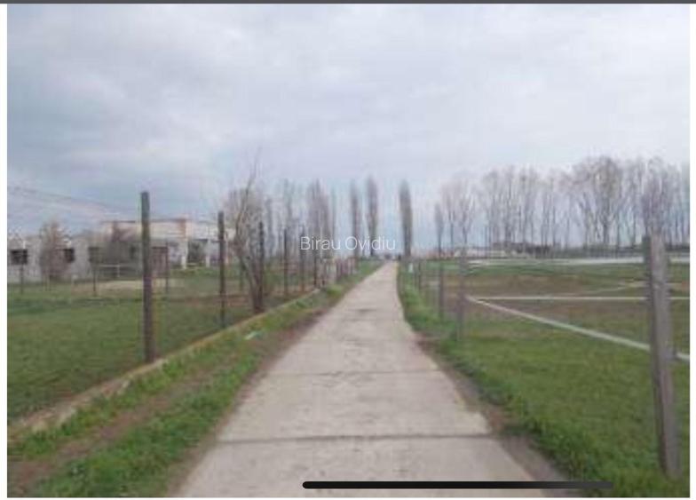 HUB Logistic intermodal 9,1 ha acces direct la DN 59/E70 JEBEL ,Timis - 14