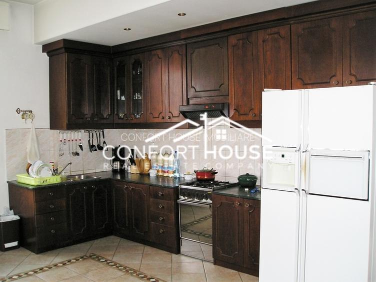 Proprietate impresionanta D+P+M, teren 4781MP, IANCU NICOLAE - 13