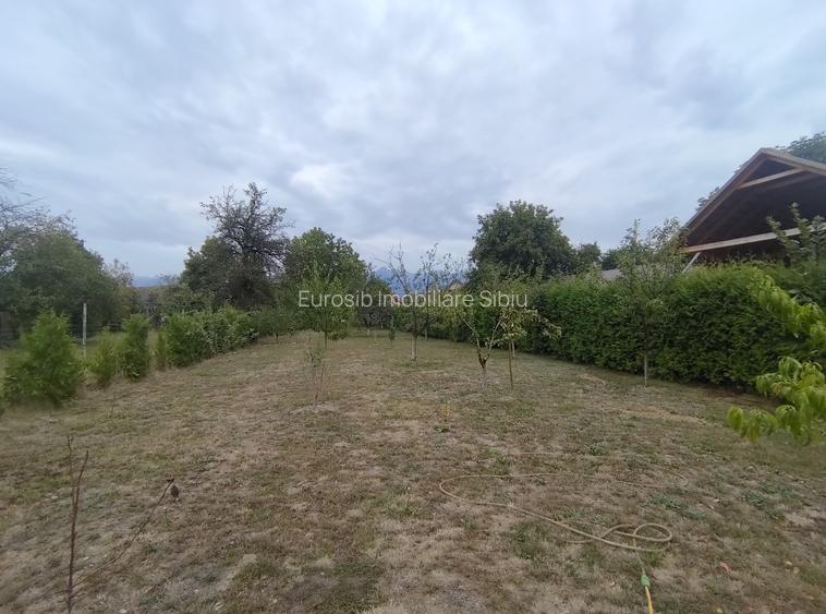 Casa individuala pe un singur nivel in Sibiu localitatea Cartisoara - 14