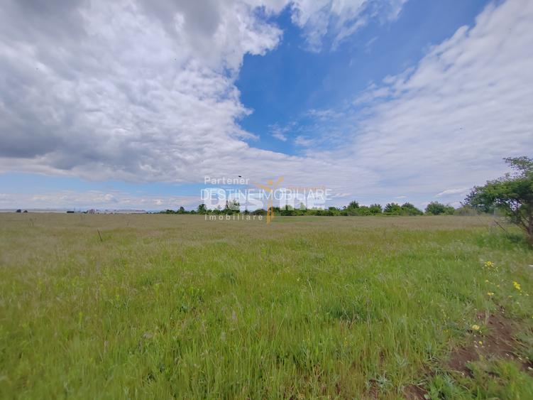 Teren extravilan, 114000 mp, Parc industrial West Park - 10