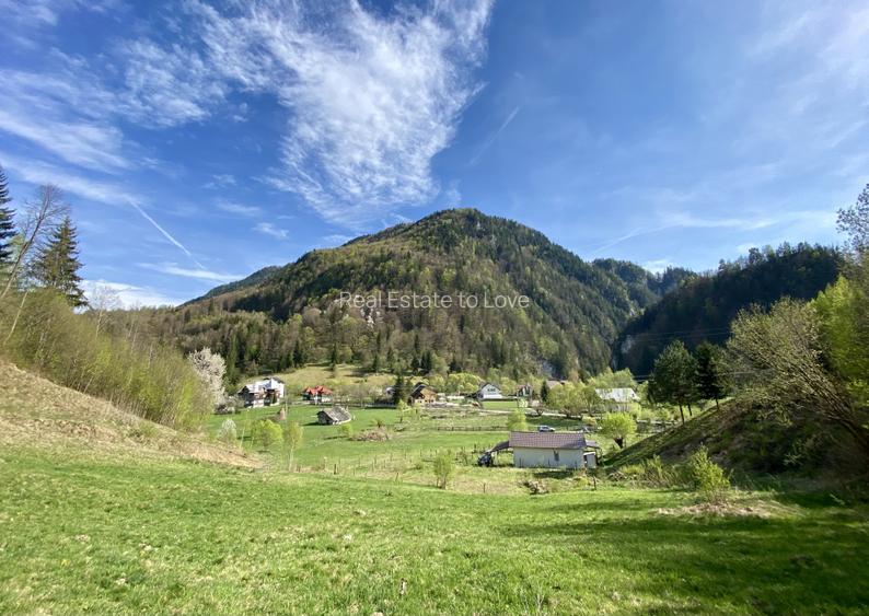 Teren panoramic insorit, utilitati, panta mica si padure, turism sau vacanta - 4