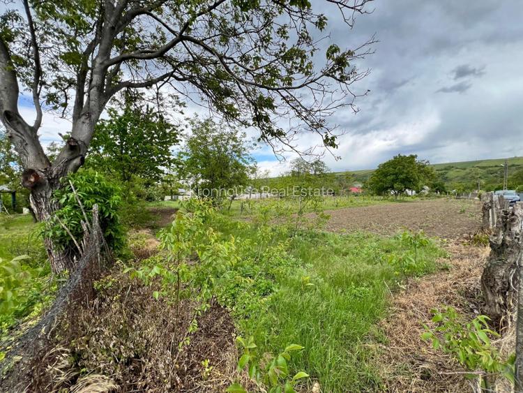 Casa + teren 4430 mp, vie si pomi fructiferi, 22 km de Tecuci - 9