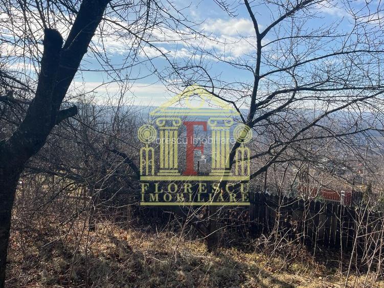 Teren Barnova  ! - 5