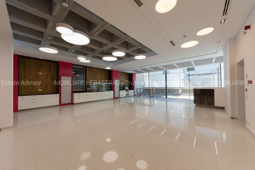 Vila Capo | Luxury offices 1800 mp, Dorobanti Capitale, TOP - 4