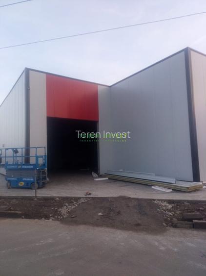 Hala depozitare -  Cernica - 3