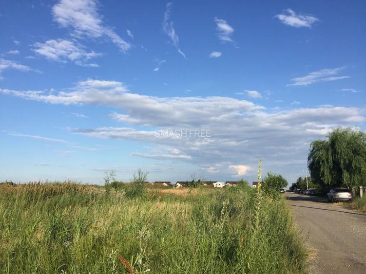 Teren intravilan in comuna Domnesti - sat Teghes - 9