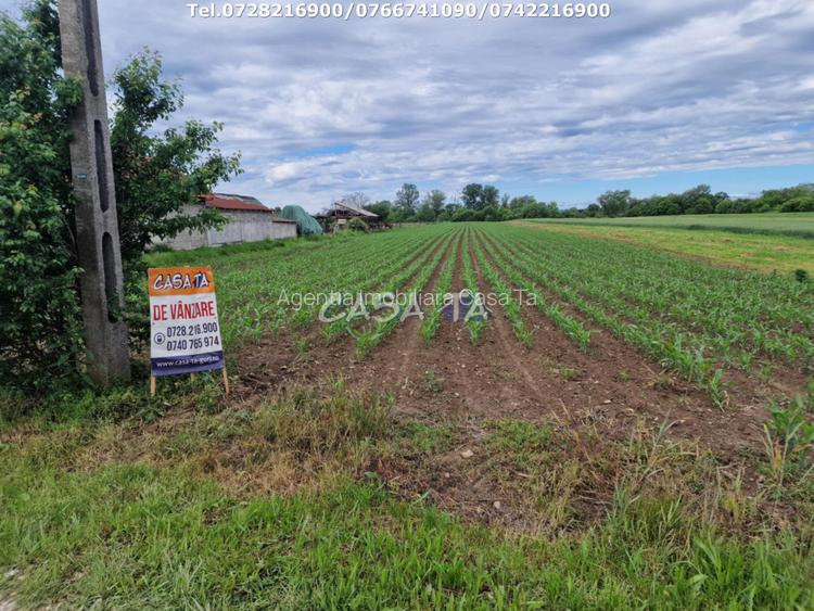 Teren Intravilan (7500 mp),situat in Balesti - Tamasesti - 3