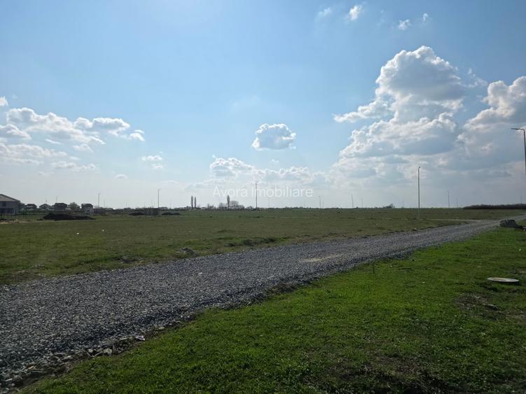 Parcele de teren Sacalaz - 11