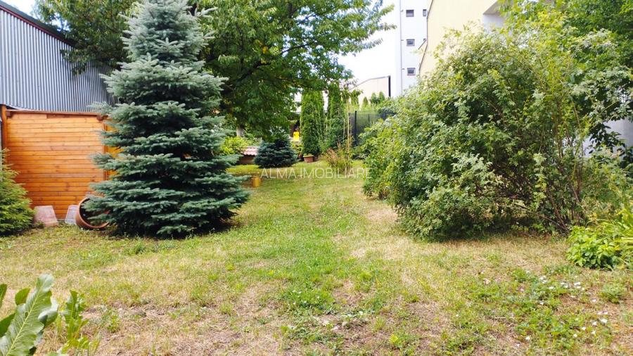 Ocazie! Casa de 300 mp utili, 1000 mp teren, zona Sapte Strazi, Gruia! - 8