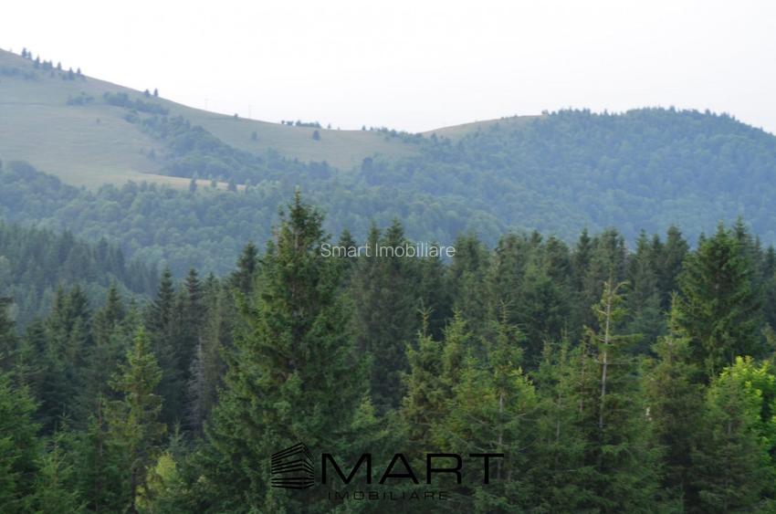 Casa individuala cu teren zona Paltinis - 14