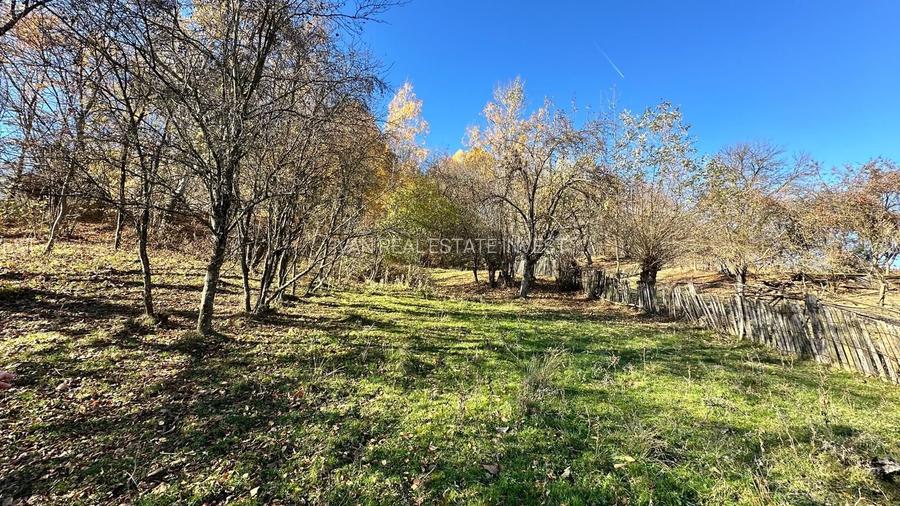 Teren 4044mp, 18 km de Campina, asfalt, utilitati, pretabil investitie - 3