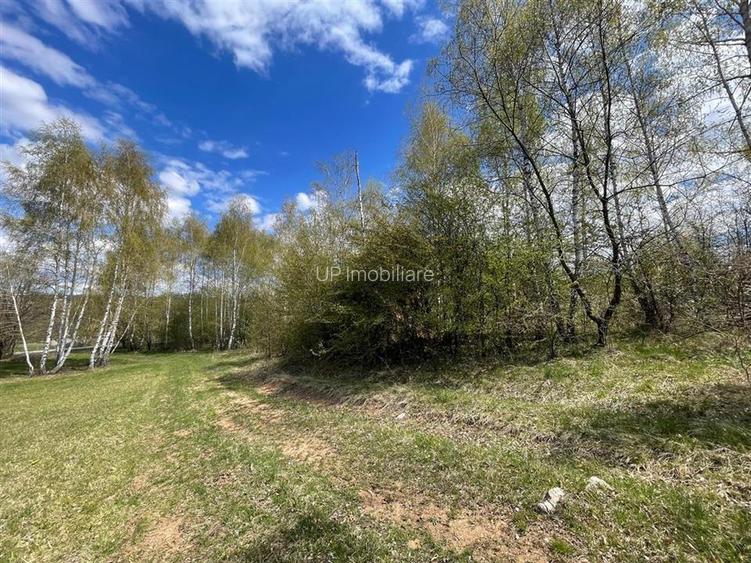 TEREN EXTRAVILAN | 103.000mp | BALANACA-GROSI | PASUNE | PASUNE IMPADURITA | BIH - 8