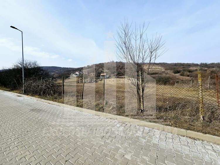 Teren intravilan | 14000 mp | 35 ml deschidere | Valea Popii - 3
