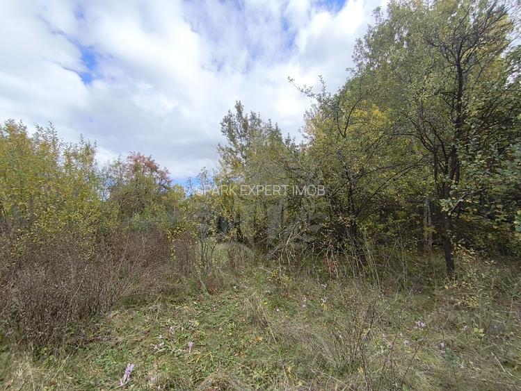 TEREN INTRAVILAN// CORNU DE JOS - 3