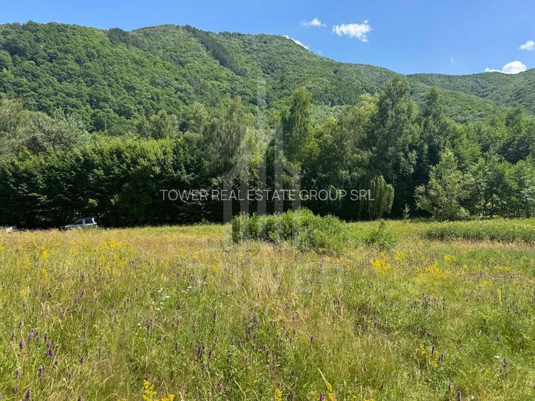 Teren intravilan 4600mp - 55 EUR/mp - EXCLUSIVITATE CISNADIOARA - COMISION 0% - 9