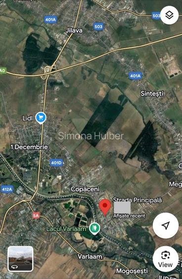 Teren pentru dezvoltare rezidentiala Copaceni Ilfov - 3