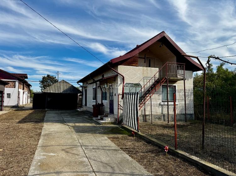 Casă de vânzare în Silisteni – 2 case, garaj, curte, grădină și livadă - 2