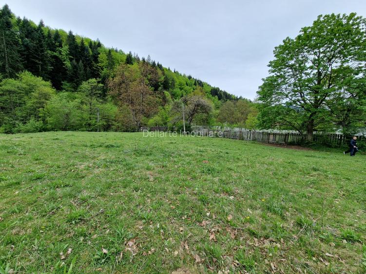 Teren intravilan 2936 mp. Bistrița jud Neamt - 2