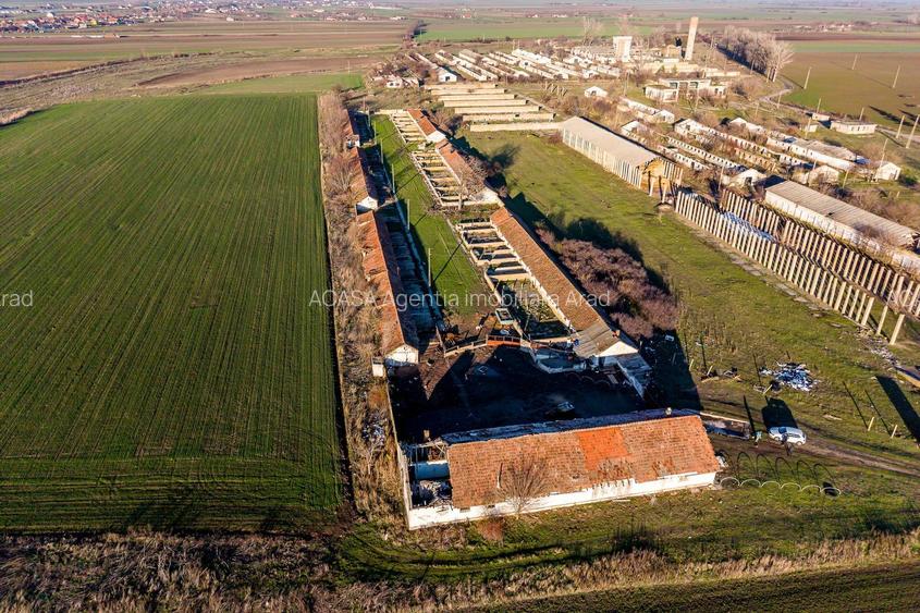 NĂDLAC | Teren 1.15 HA lângă Autostradă | 2.500mp Hale - 3