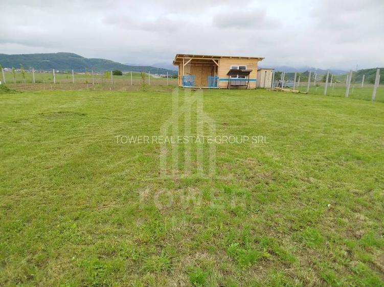 Grădină 862 mp cu cabanuta și pomi fructiferi – între Tălmaciu și Sadu - 7
