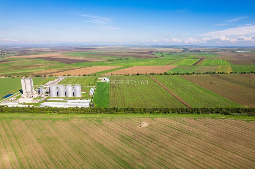 Teren de 104000 mp în Vinga - 6