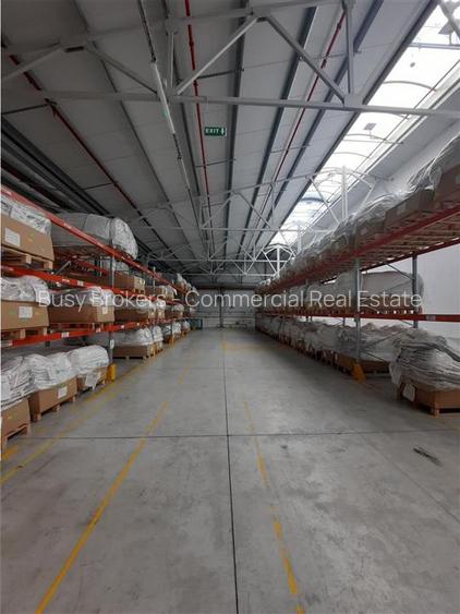 Spatiu Industrial - 6500 mp - Productie - Depozitare - 7