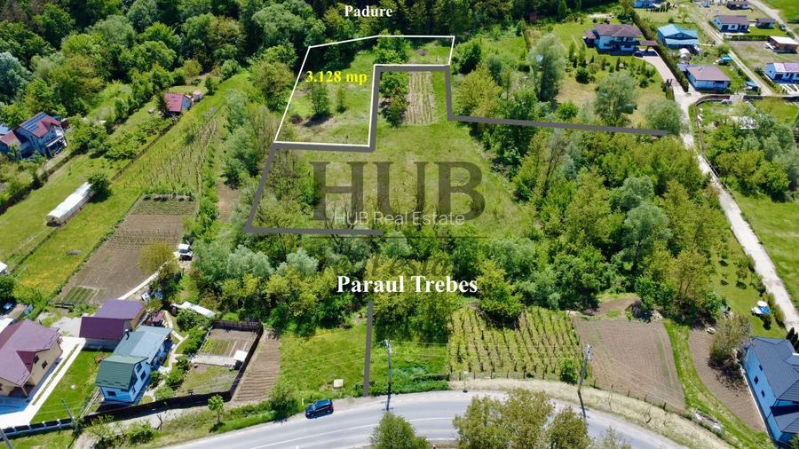 Teren intravilan | langa padure si parau | Luncani/Bacau - 4