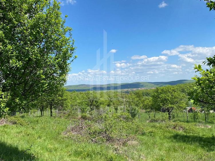 Teren premium 1000 mp-Sibiel - 3