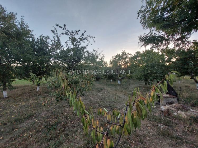 Casa batraneasca bine intretinuta in Bahna - 10