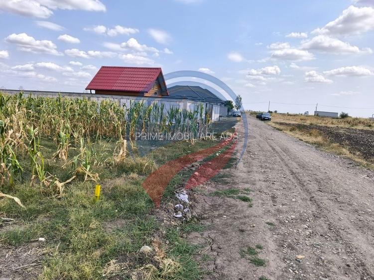 Teren intravilan 5087 mp de vânzare – Pielești - 8